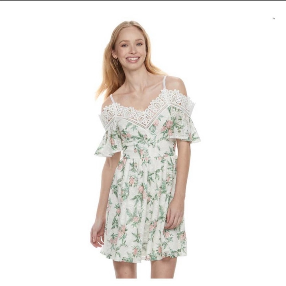 Disney Princess Dress Roses and Green with Lace